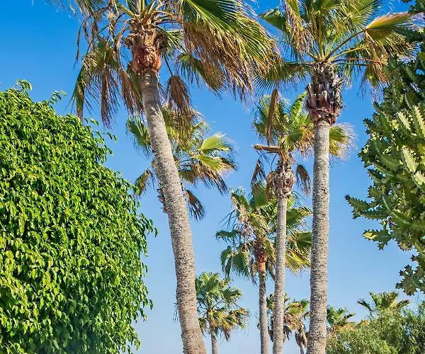 Nautilus Lanzarote Πουέρτο Ντελ Κάρμεν